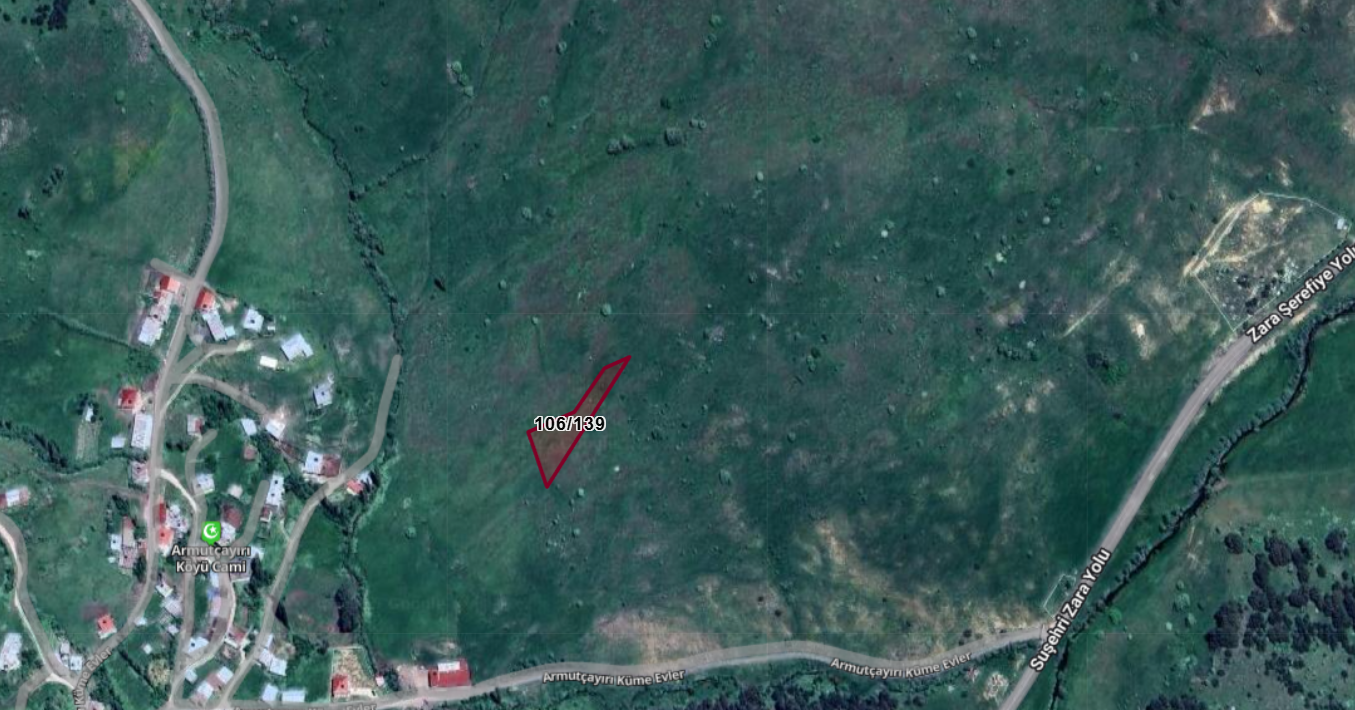 Fotoğraf